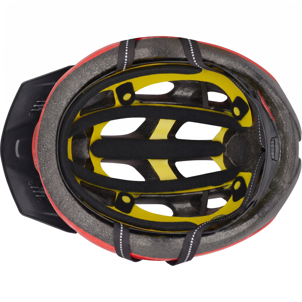 Specialized Chamonix Mips